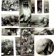 Japanese Photogravure Art 1919 Lot 6 Art Schools