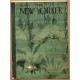 New Yorker  February 10 1945 Writer in the Jungle