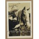 Roy Rogers and Trigger Photo